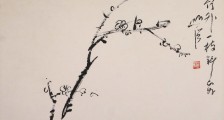 眼镜验光员职业技能等级证书