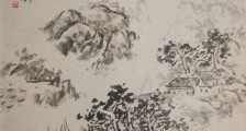 造林更新工职业技能等级证书